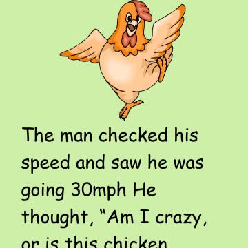 A Chicken Running At A Speed Of 50 Km Per Hour..