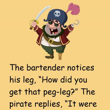 A Pirate Walks Into A Bar