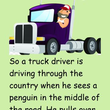 Penguin And Truck Driver