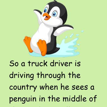 Penguin Truck Driver