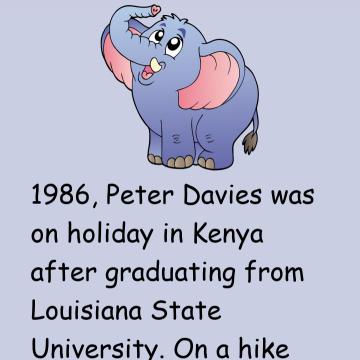 Peter Davies And Elephant