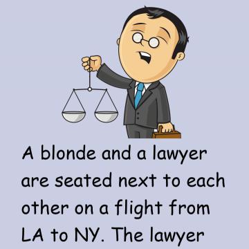 The Blonde & The Lawyer