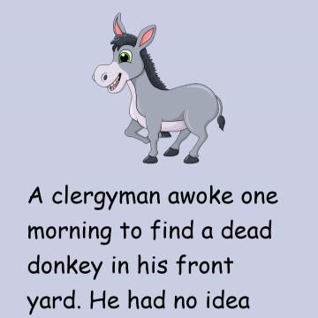 The Dead Donkey