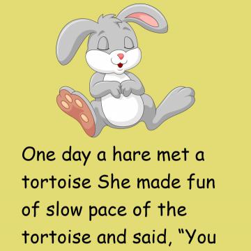 The Hare And The Tortoise Story